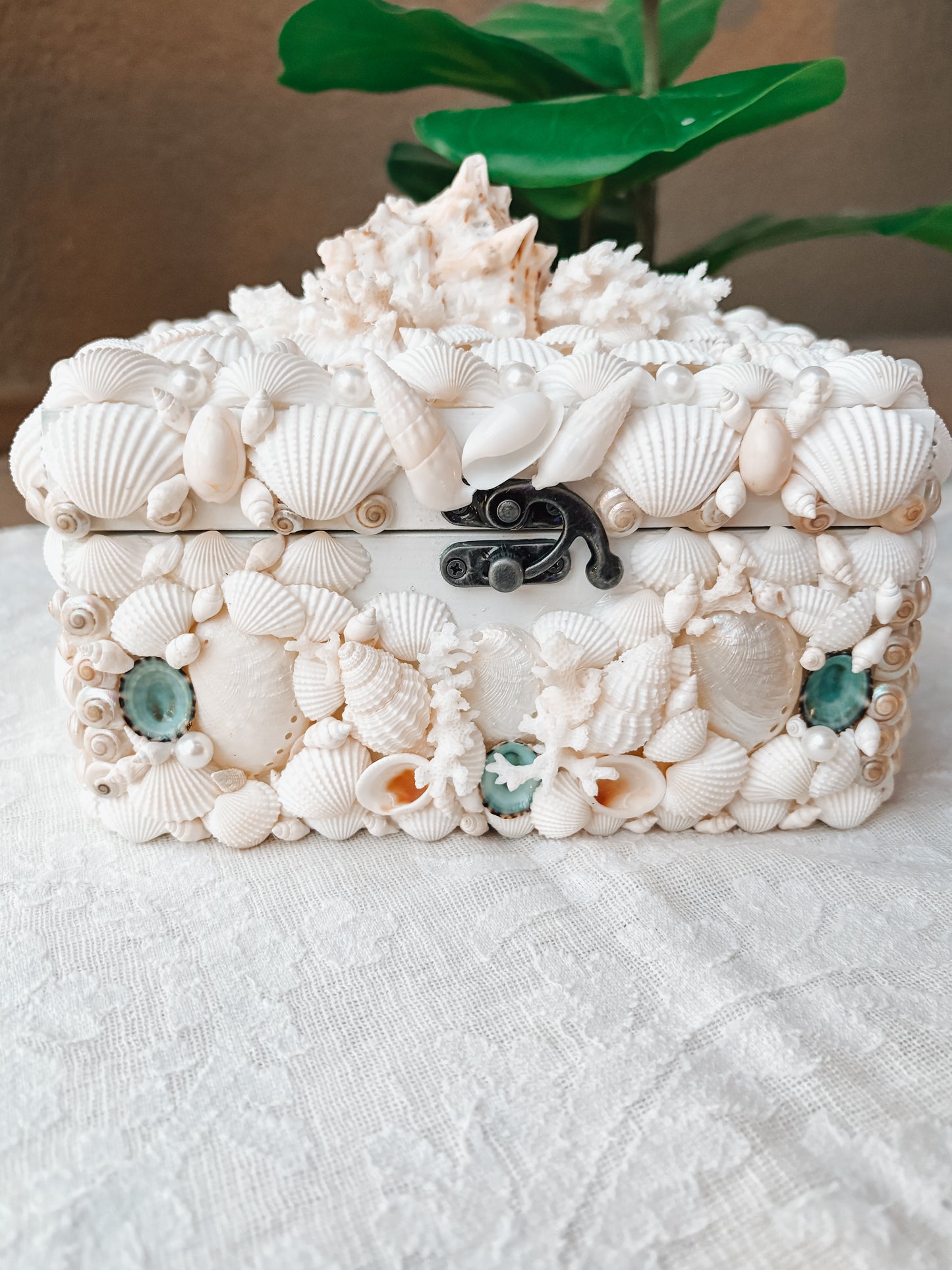 Seashell Keepsake Box
